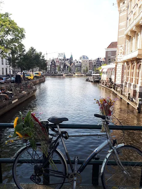 Amsterdam canal with bicycle and flowers